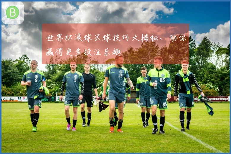 世界杯滚球买球技巧大揭秘，助你赢得更多投注乐趣