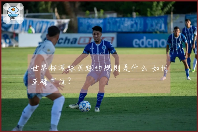 世界杯滚球买球的规则是什么 如何正确下注？
