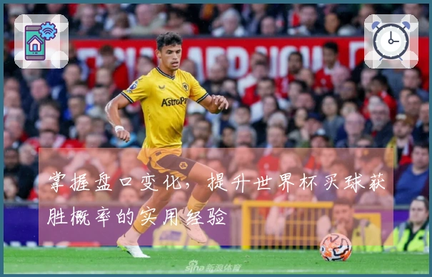 掌握盘口变化，提升世界杯买球获胜概率的实用经验