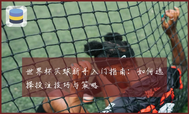 世界杯买球新手入门指南：如何选择投注技巧与策略