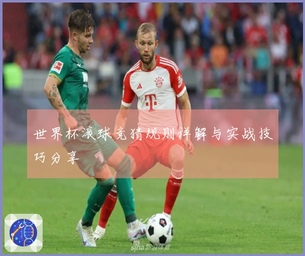世界杯滚球竞猜规则详解与实战技巧分享