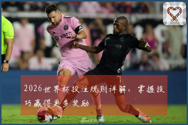 2026世界杯投注规则详解，掌握技巧赢得更多奖励