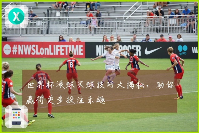 世界杯滚球买球技巧大揭秘，助你赢得更多投注乐趣