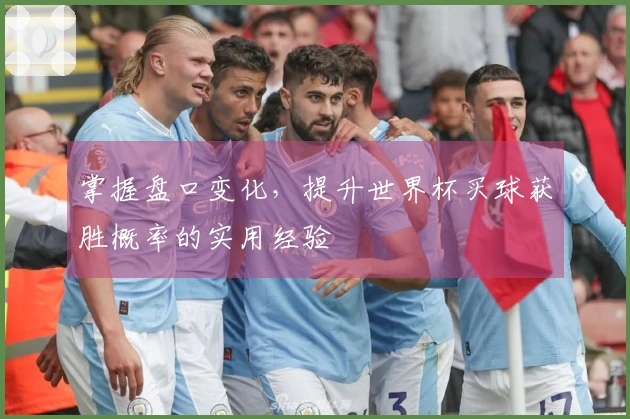 掌握盘口变化，提升世界杯买球获胜概率的实用经验