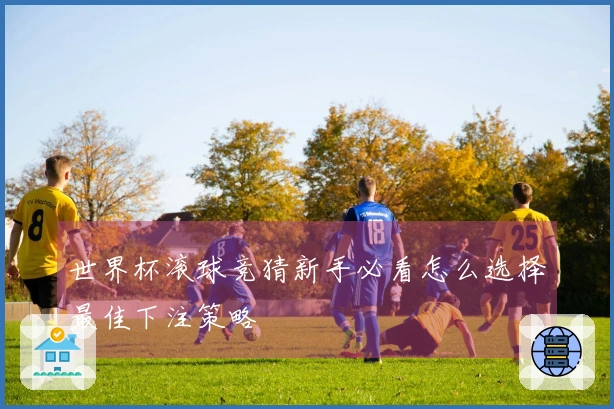 世界杯滚球竞猜新手必看怎么选择最佳下注策略